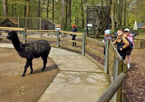 Wycieczka do ZOO i Muzeum Lotnictwa w Krakowie