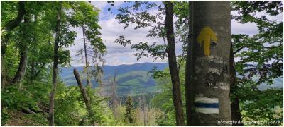 Szczawnica_000_2022.jpg