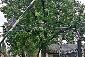 Wycieczka do Oświęcimia - kl. VIII